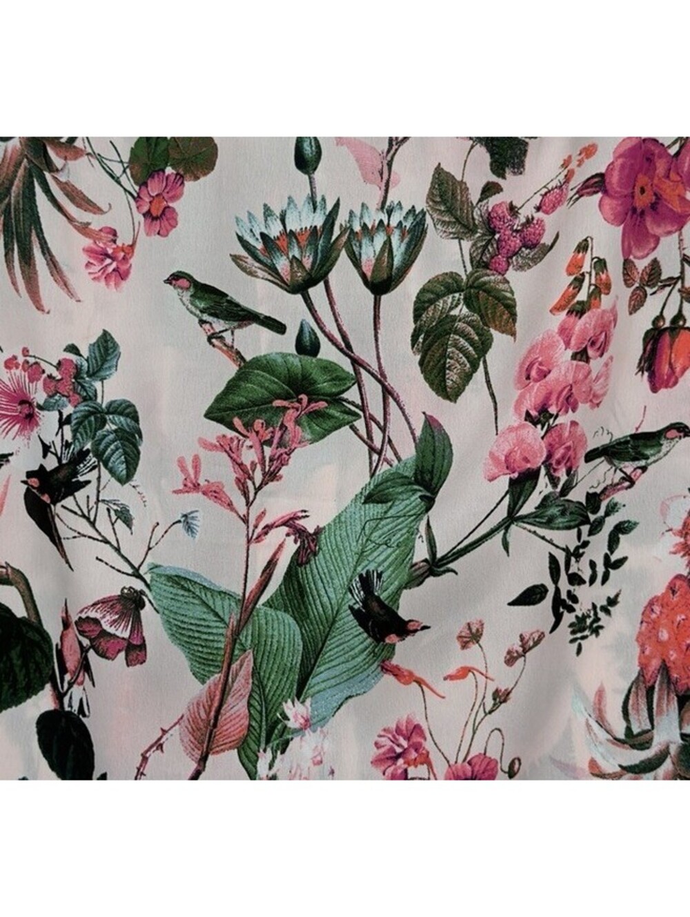 Banana Republic Top XS Sleeveless Pink Bird Floral Print Ruffle Neck New NWT